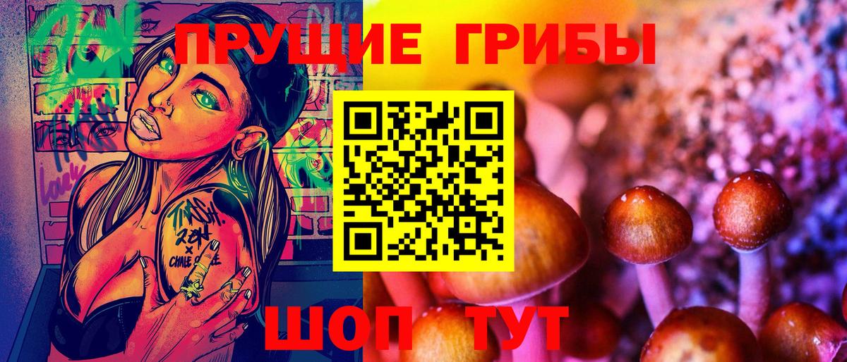 Галлюциногенные грибы Psilocybine cubensis Магадан