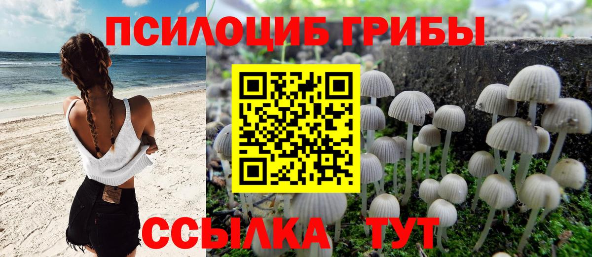 Псилоцибиновые грибы GOLDEN TEACHER  Псилоцибиновые грибы мицелий  Вход с VPN  Магадан 